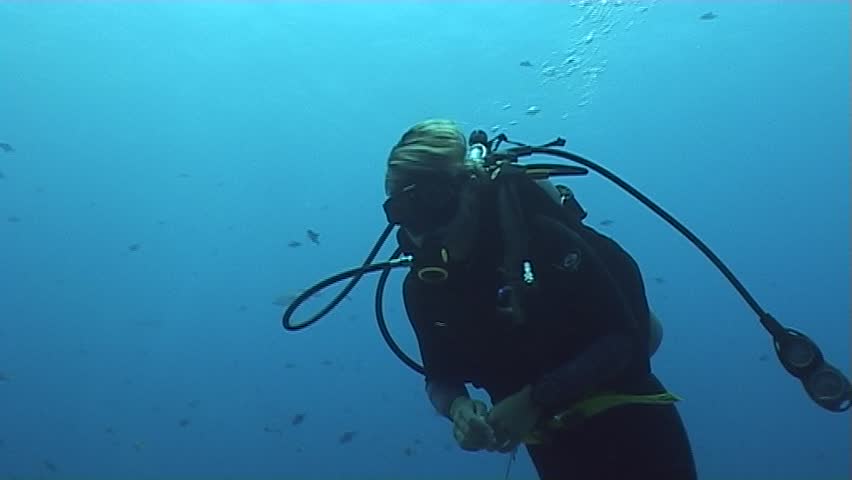 sea life
