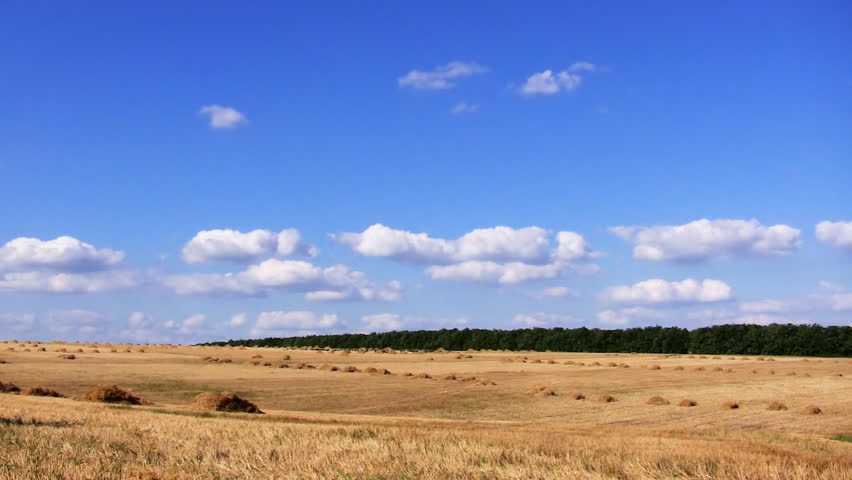 field and blue sky 
