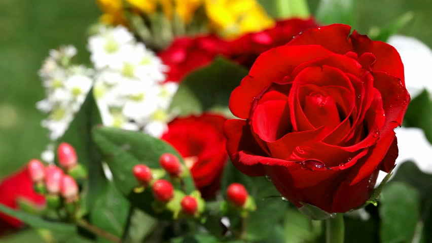 Red rose in a bunch of flowers