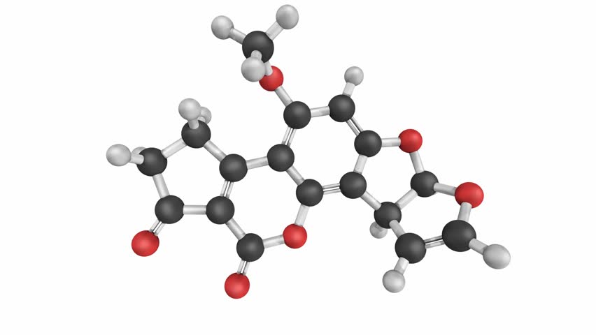 Header of aflatoxin