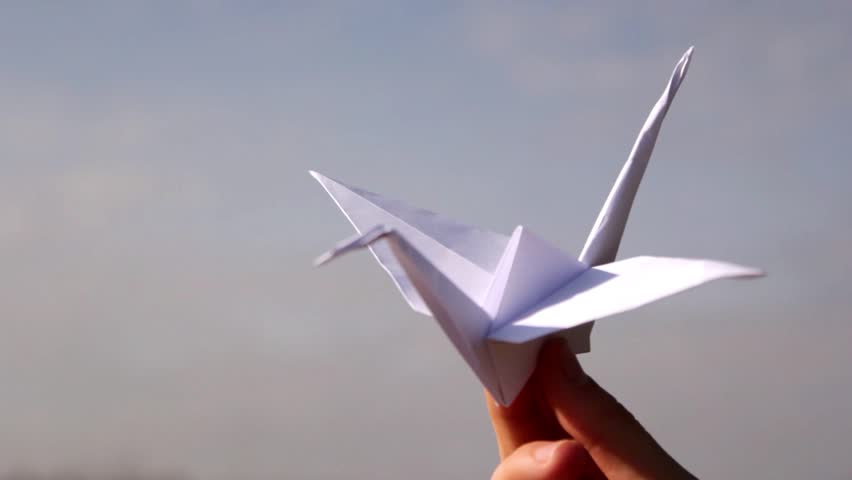 Hands Of Woman Folding Origami Crane With White Paper, Time Lapse (HD, High Definition