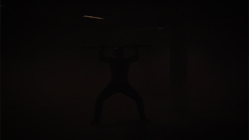 KungFu Wrestler