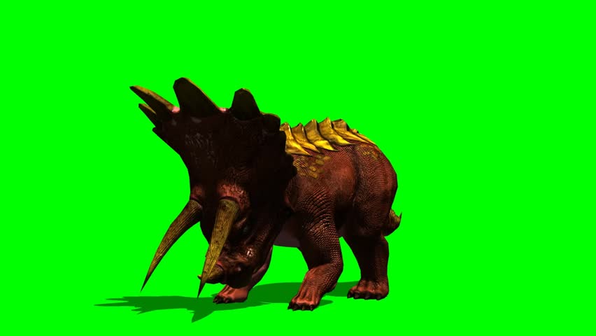 do triceratops eat meat