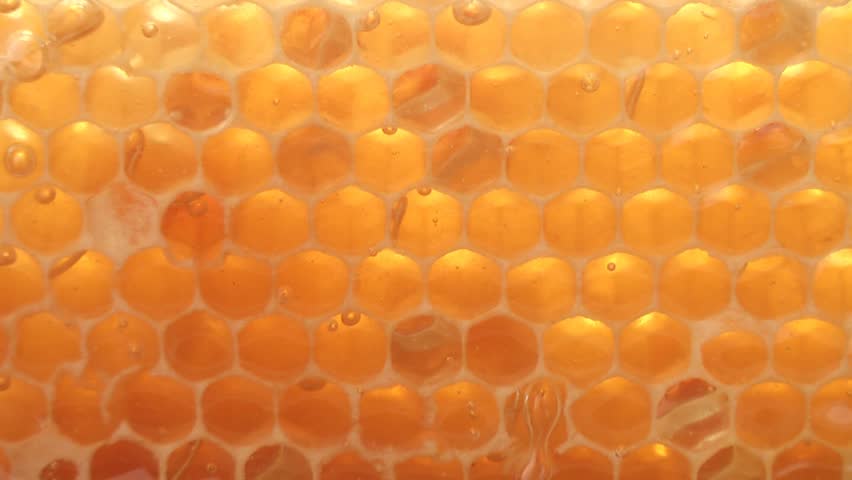 Closeup of honey pouring on the honeycombs
