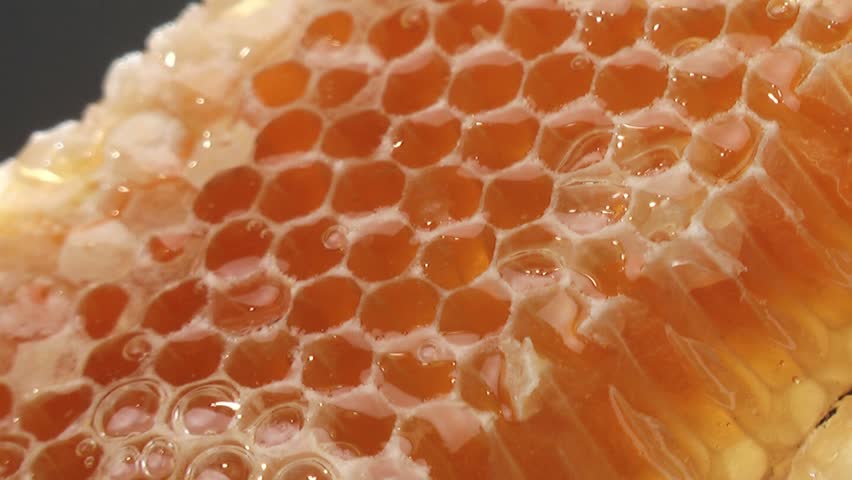 Closeup of honey pouring on the honeycombs