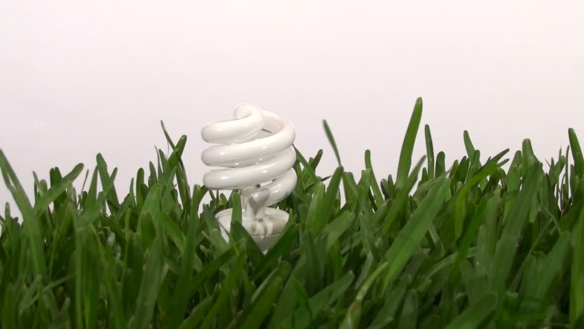 energy saving light-bulb in grass against white background