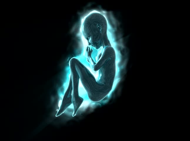 Birth of the life