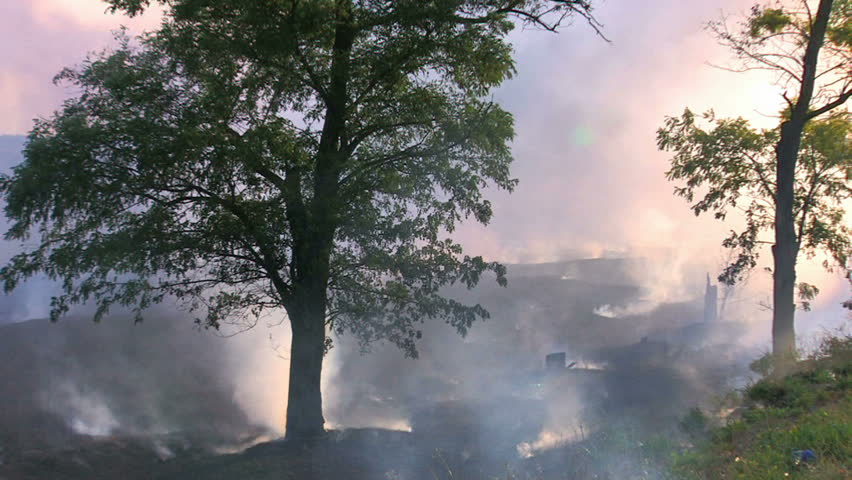 HD Burnt grass near the forest, smoke screen, Canon XH A1, FullHD video, 1080p, 25fps, progressive scan 