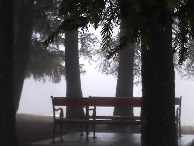 Girl sit and rest on the bench in woods