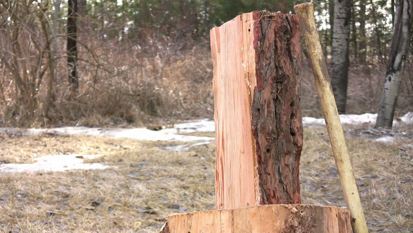 Closeup of a man splitting wood with a maul