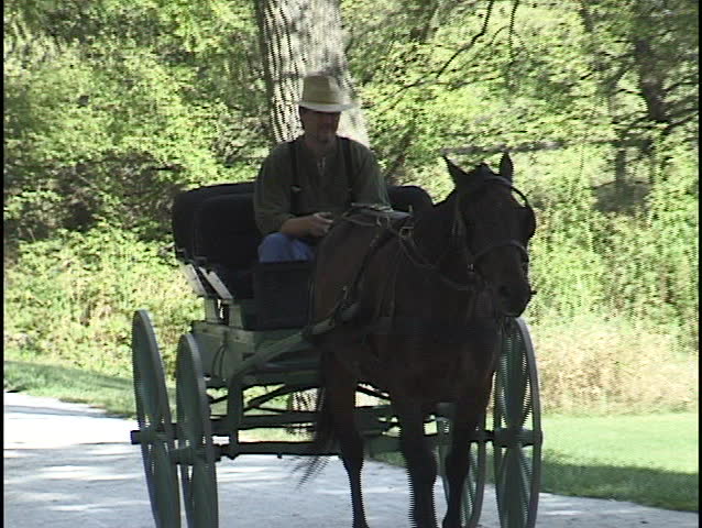 Man Riding Horse and Carriage 2