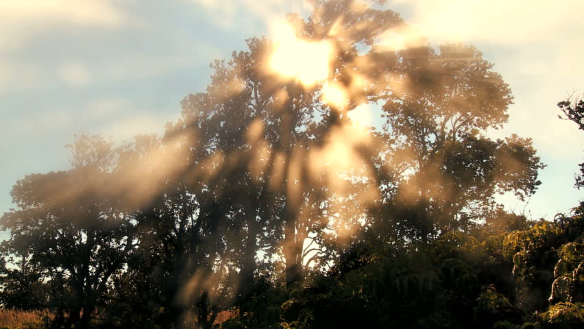 Time-lapse cloud & sunlight symbolizing trees absorbing carbon dioxide from the atmosphere & producing oxygen