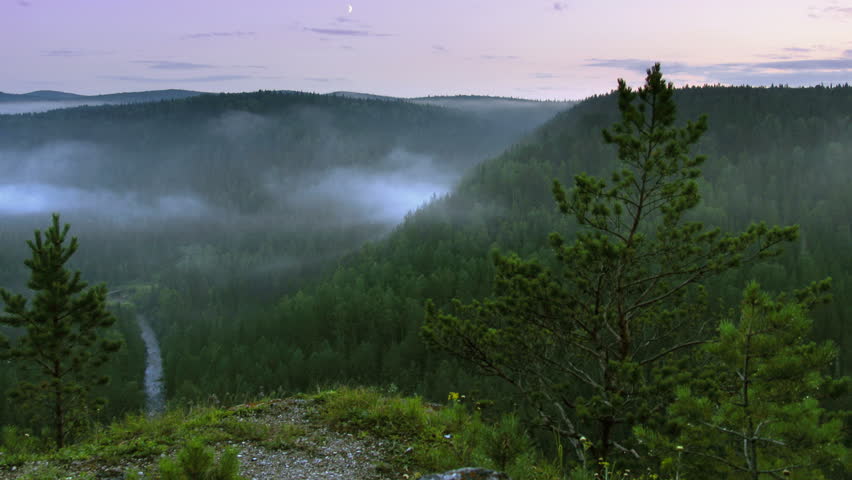 timelapse fog rising up above night forest, view from rock