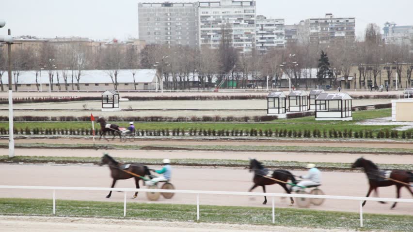 horsies in teams and with jockeys run on hippodrome against apartment houses 