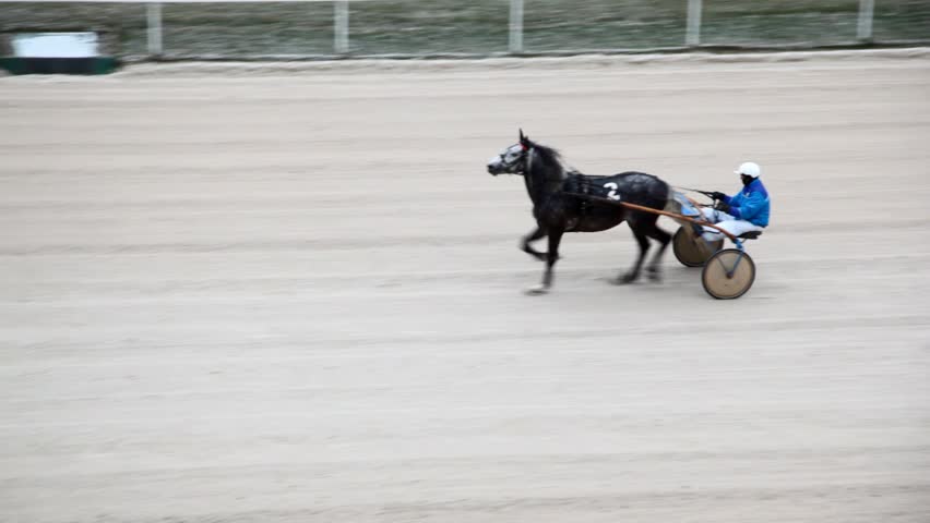 close up horsy at number two, operated jockey, running on hippodrome track 