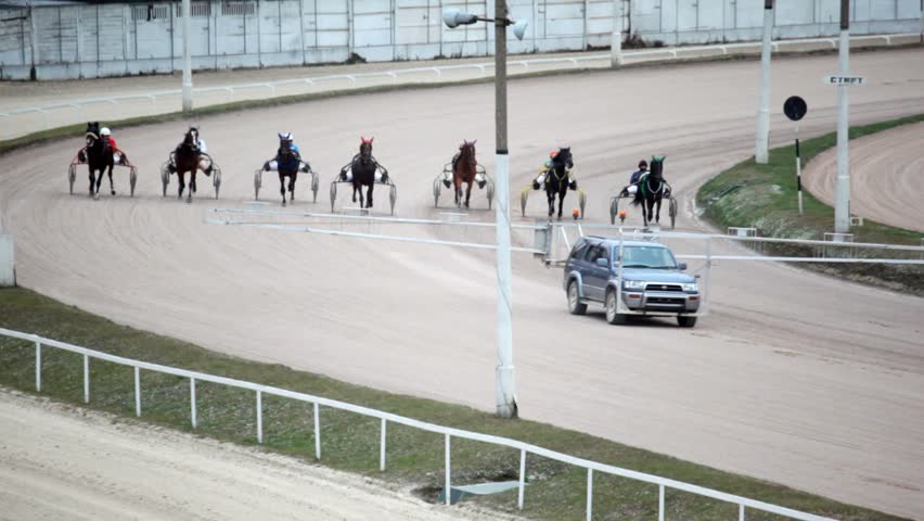 jumps of running horses with jockeys in carts and auto start car on hippodrome 