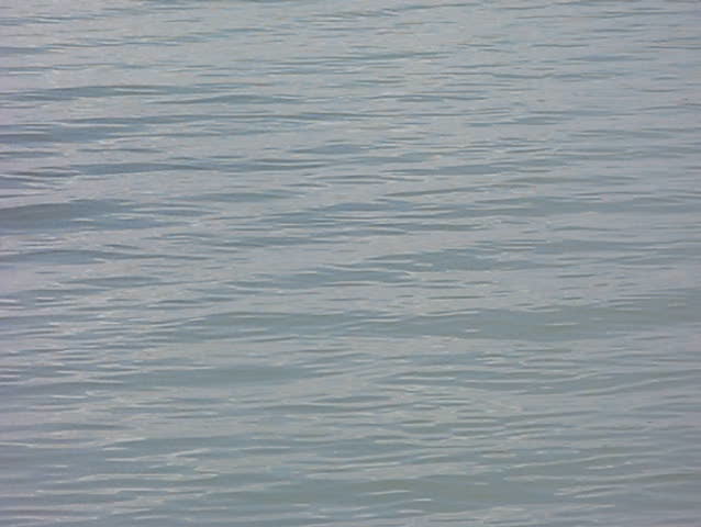 Water Waves
