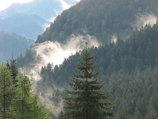 Alps: Climbing Morning Clouds