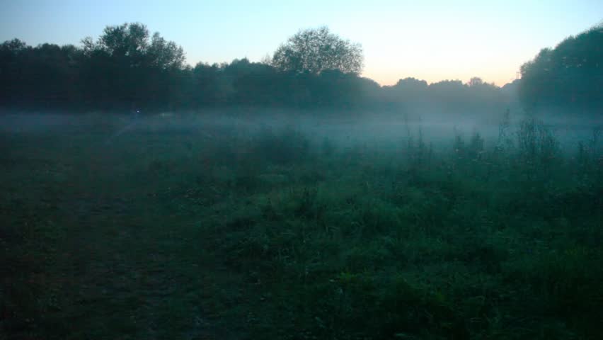 man with electric torch rides bicycle in summer misty night forest 