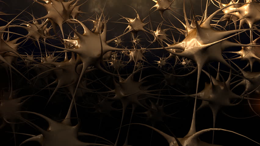 Human Neurons with flashes in connections