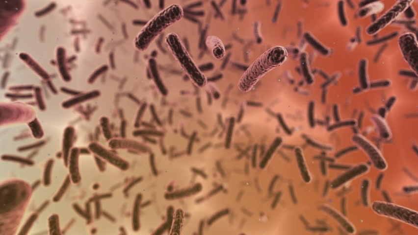 Virus Cell image.