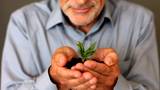 Cropped of senior man holding a little growing green plant in hand