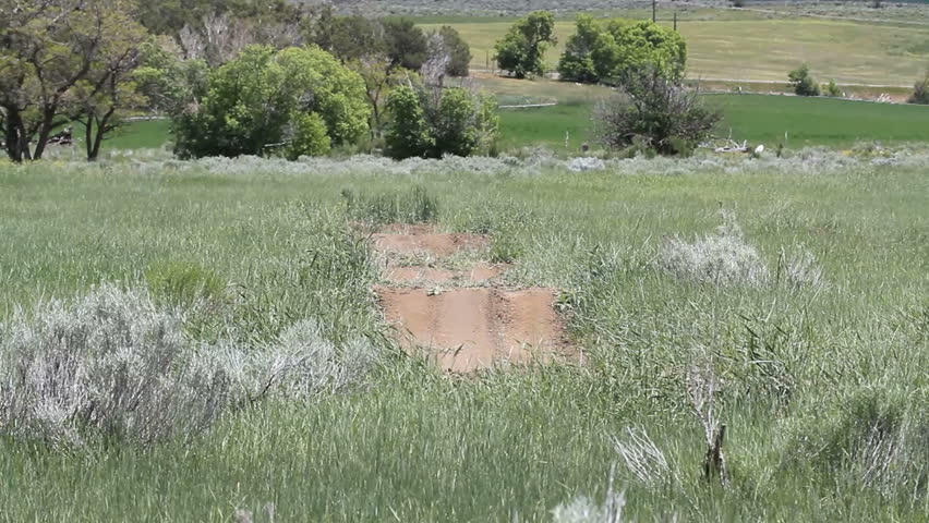 Motorcycle ATV ride on rough dirt track by young boy. Jumps over earth ramps. Wears a helmet for safety. Large heavy duty and maneuverable ATV dirt bike. 