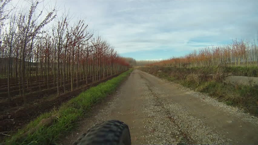 Mountain Bike ride along rural track