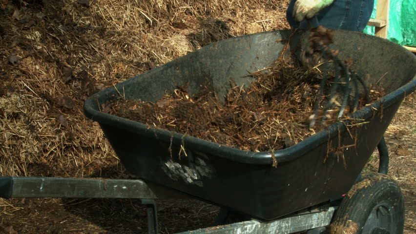 Worker on a suburban farm loading straw in a wheelbarrow.