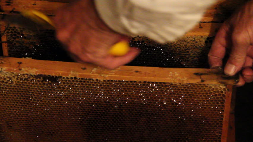taking one honeycomb