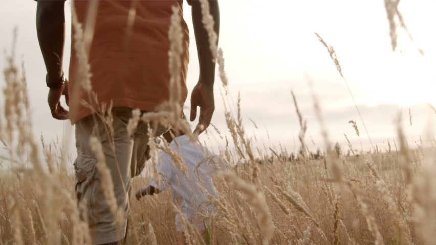 A father and son play in a wheat field on a sunny day.