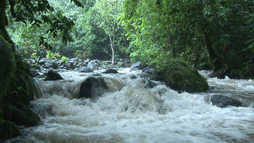 Rapids