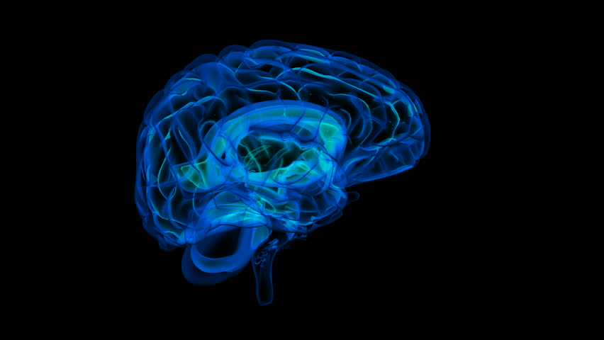 Looping XRay Brain With Alpha Matte. Isolated