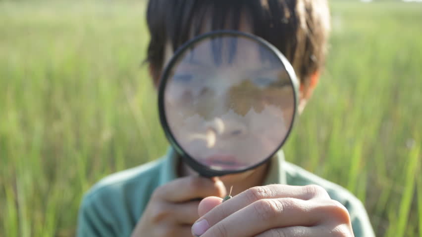 The boy with a magnifier