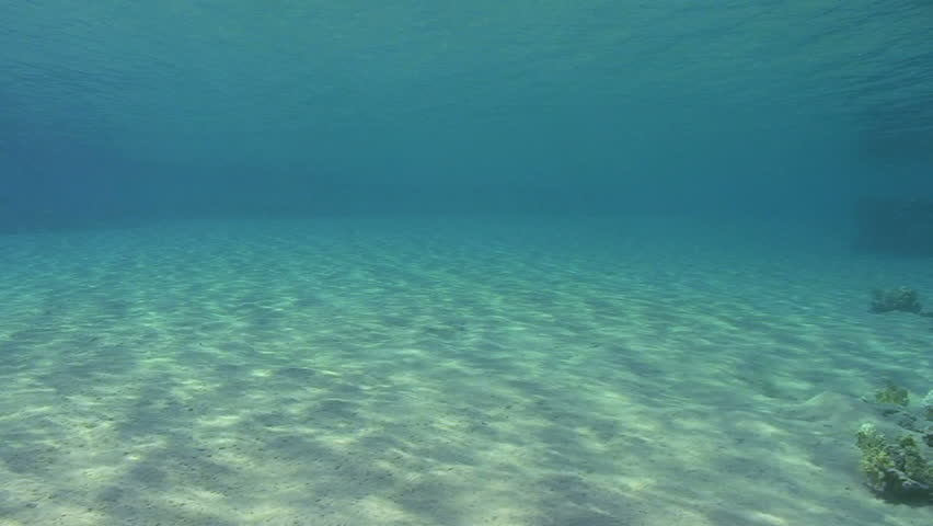 Wide angle scenic shot in clear blue water of Ripples sunlight on the floor of a shallow sandy bay reflected by a calm ocean surface. Marsa Bareka, Ras Mohammed National Park, Red Sea, Egypt.