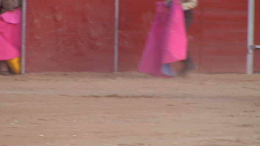 Bullfight
