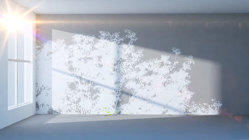 Beautiful ivy grows on the wall in white interior