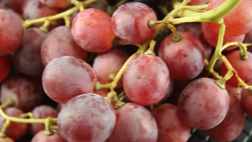 Pink ripe grapes