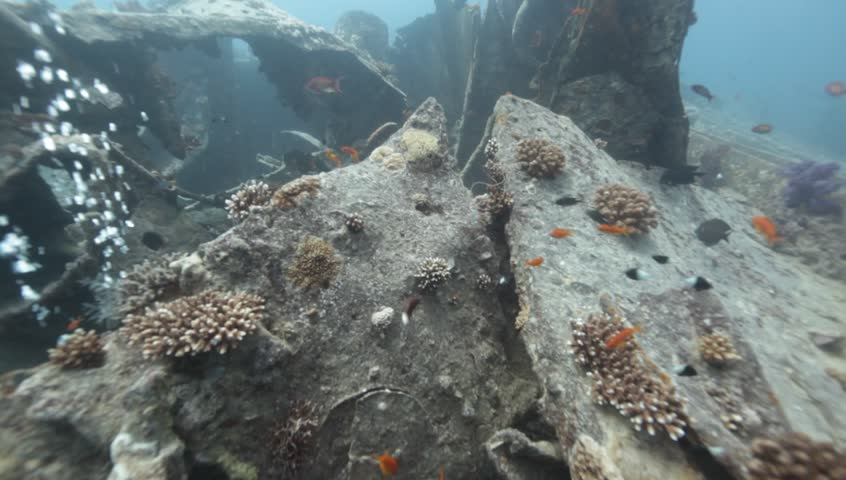 Scorpionfish hidden between the wreckage of the Thistlegorm.