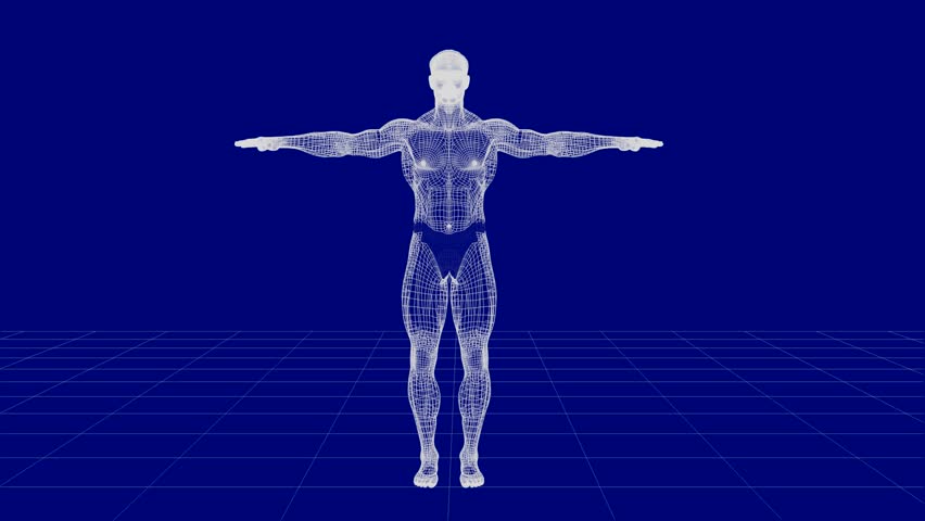 X-rays Of The Human Body On A High-tech Background Stock Footage Video