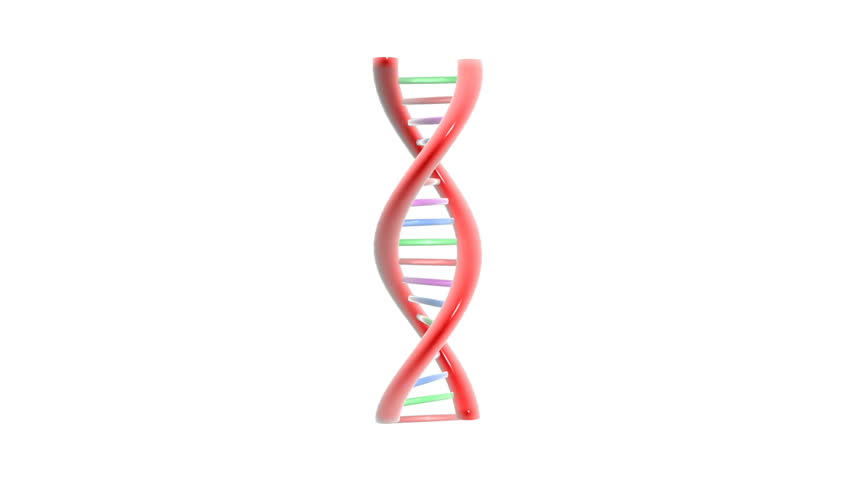 DNA Animation loop 