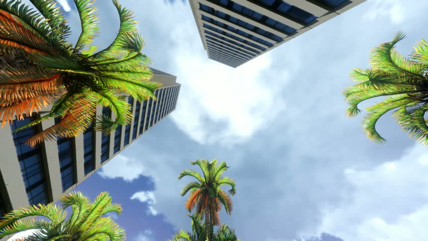 Modern Office blocks in Honolulu 