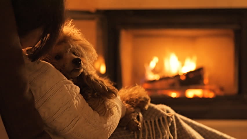 Sex By The Fireplace
