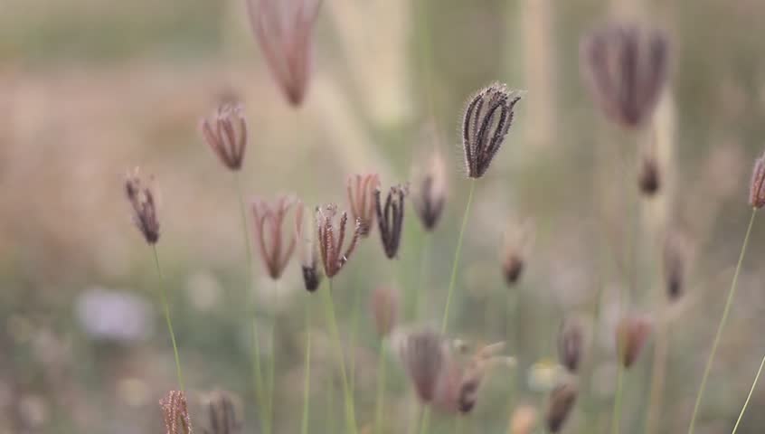 Header of swollen