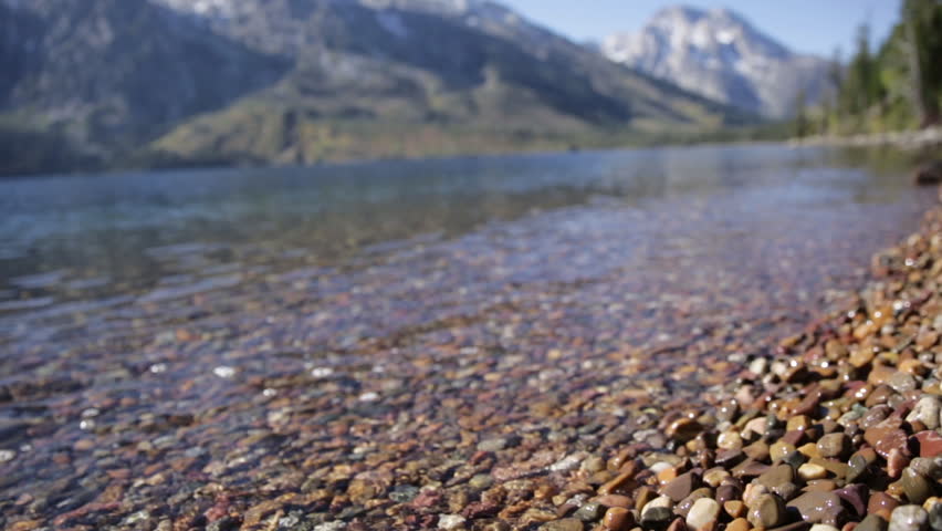 Header of Jenny