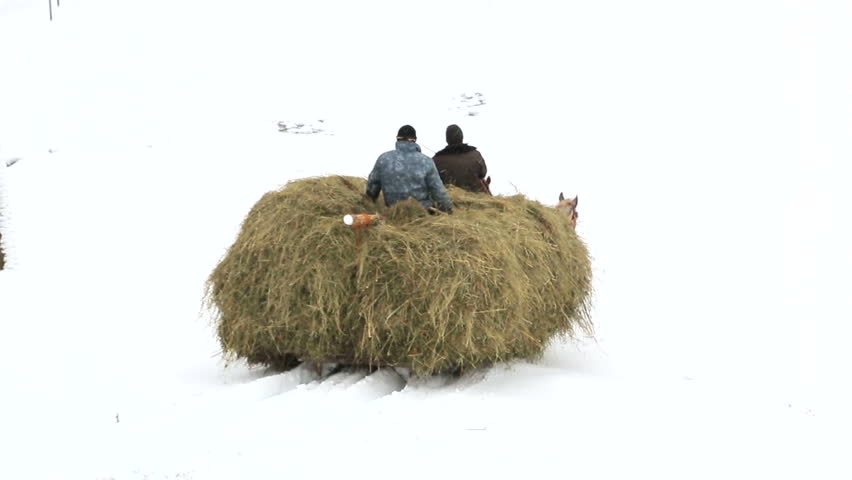 Snow on hay bales image - Free stock photo - Public Domain photo - CC0 ...