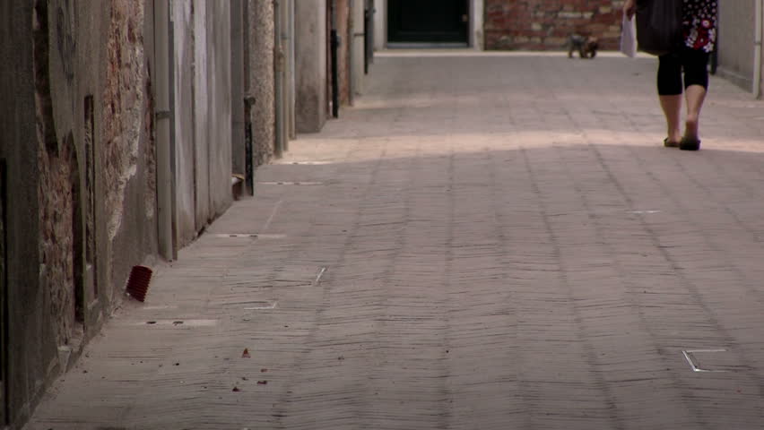 Header of Ally