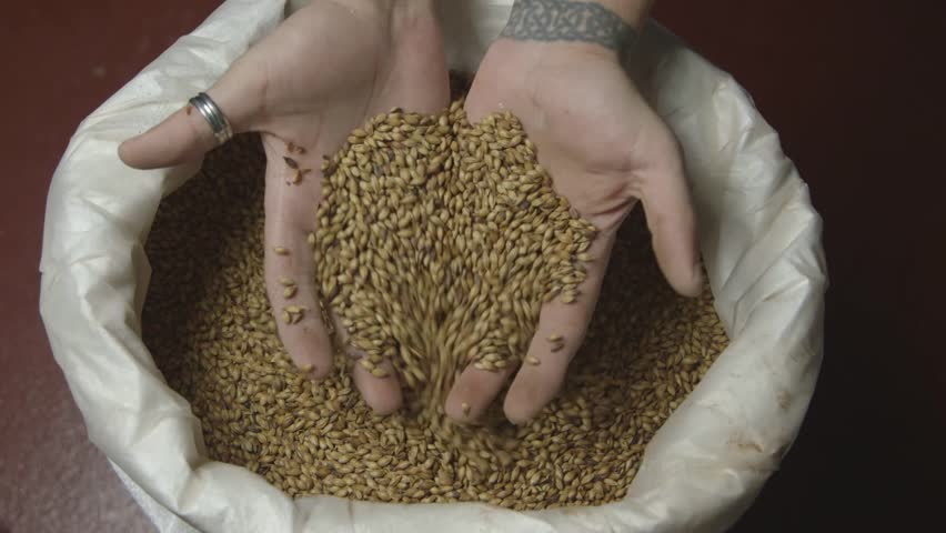 Header of brewmaster