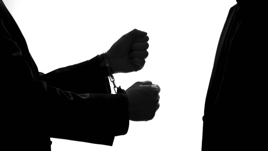 Header of amnesty