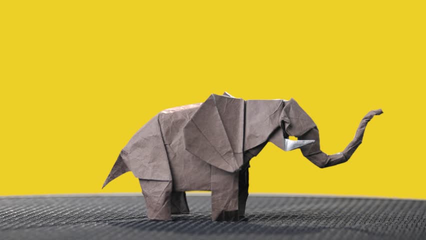 Origami Elephant On Colorful Background Stock Footage Video 100 Royalty Free 1010408513 Shutterstock